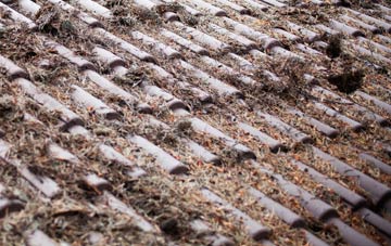 Lunan roof cleaning companies